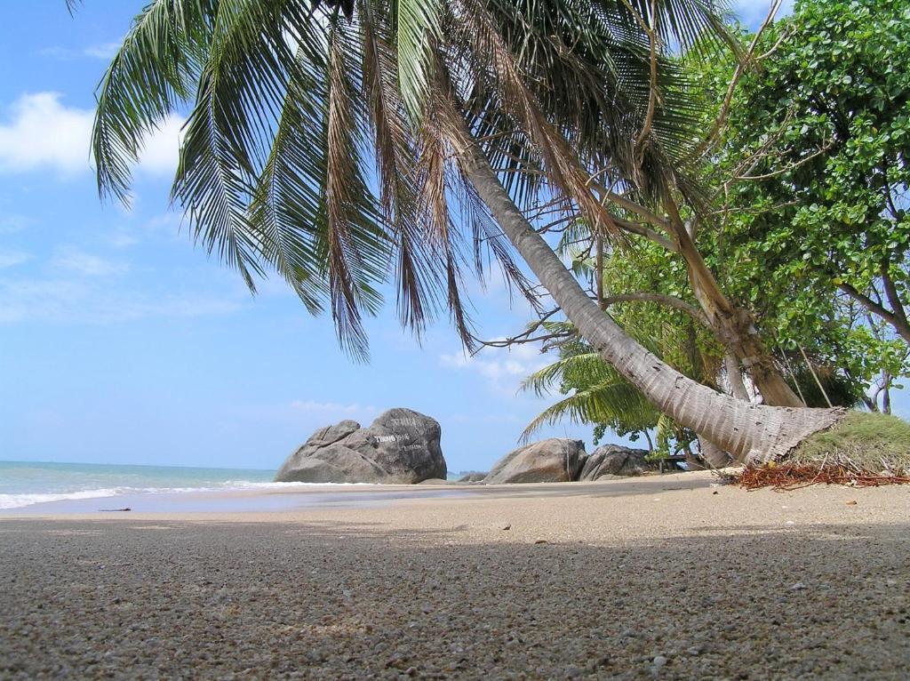 Thong Yang Bungalow Пханган Екстер'єр фото